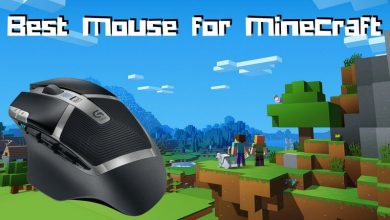 Best Mouse for Minecraft
