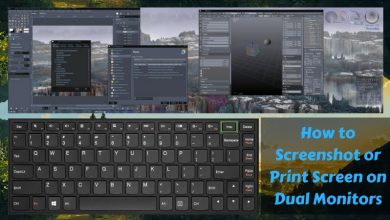 How to screenshot or print screen on dual monitors