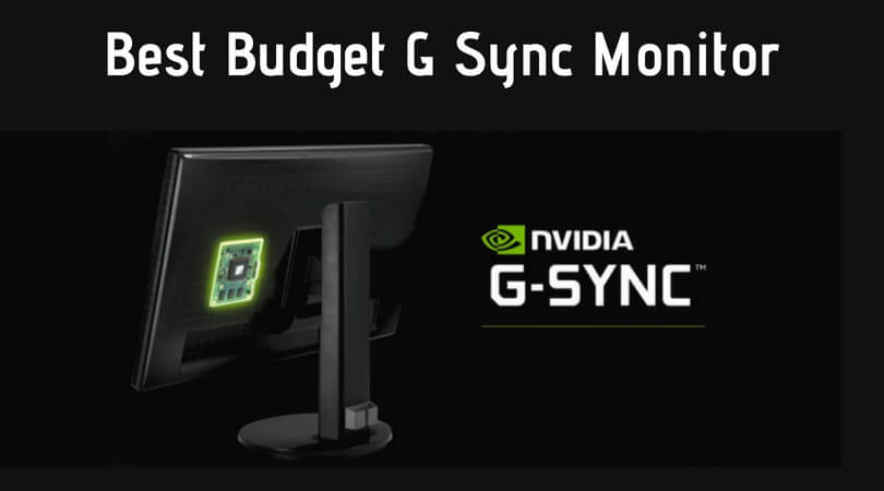 Best Budget G Sync Monitor at Affordable Price