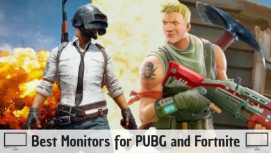 Best Monitors for PUBG and Fortnite