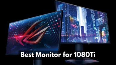 Best Monitor for 1080Ti