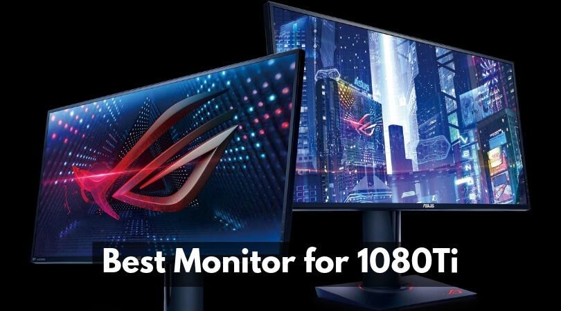 Best Monitor for 1080Ti