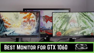 Best Monitor for GTX 1060