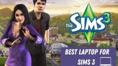 Best-Laptop-for-Sims-3
