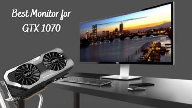 Best Monitor for GTX 1070
