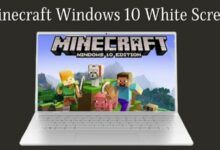 Minecraft Windows 10 White Screen